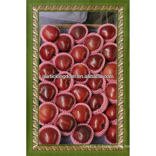 Fresh Red delicious Apple / Huaniu Apple, fabricant